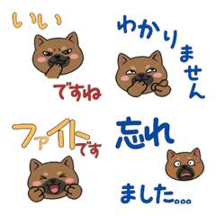 Polite Great Dane  24