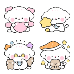 Shiro, the cute little dog