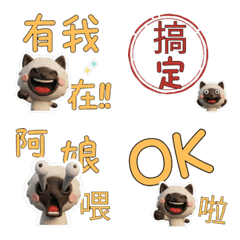 Moving TW Colorpoint Cat 40