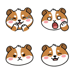 Waving Guinea Pig  66