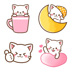 白貓 ♡ 每日必備簡約風