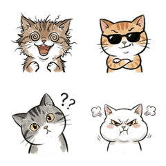 Adorable Feline Expressions