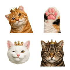 A local cat wearing a crown