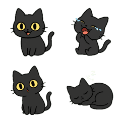 20260303CAT