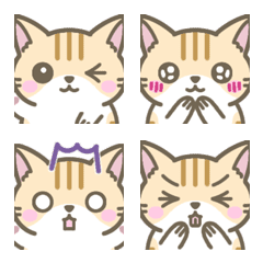 (Emoji)Close-up facial expressions cat