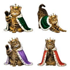 Royal Brown Tabby Cat