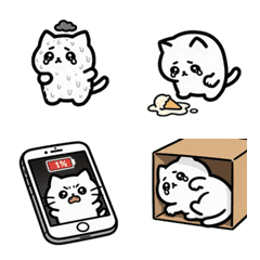 衰衰惹人愛！努力求生的委屈貓咪