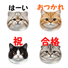 Plump cat, Greetings, reactions, etc.