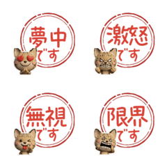 Moving Wiggle Serval  90