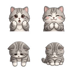 Beloved Ragamuffin III