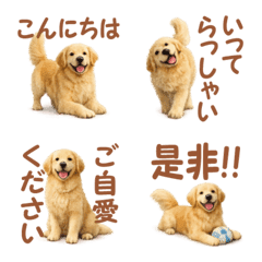 Honorific language, Golden Retriever