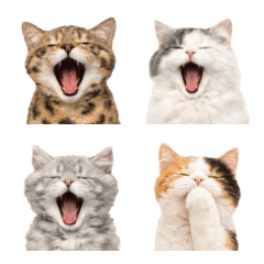 Yawning Cats Emoji