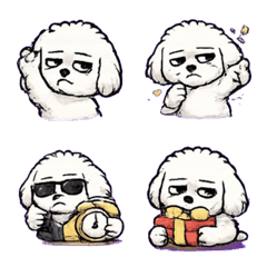 かわいいビション・フリーゼ