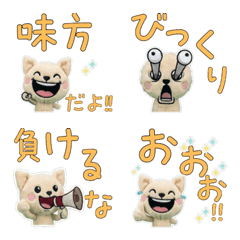 ตุ๊กตาชิวาวาครีม  9th