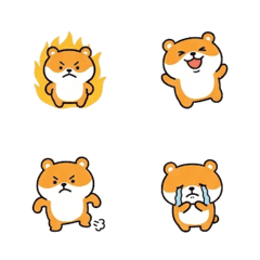 Daily Life - Chrysanthemum Bear B1