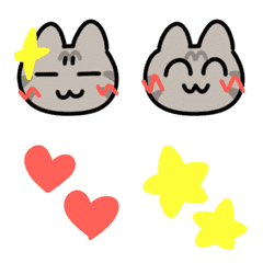 Moving! American Shorthair