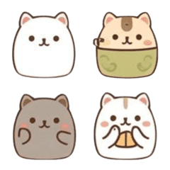 cute cat lifestyle
