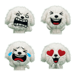 Moving Bolognese  8th