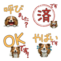 Moving Polite Rough Collie 12