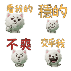 Moving Taiwanese Bedlington 34