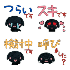 Moving Polite Flat-Coated Retr 12