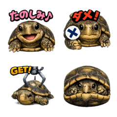Emoji_Anime-kawaii_Turtle1