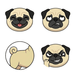 Pug Pipi: Your Best Mood Companion