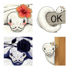 Soothing Ball Python