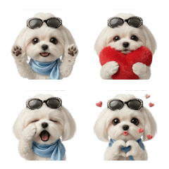Maltese Fashionista Emoji