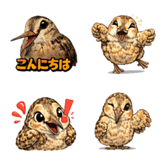Emoji_Anime-kawaii_American woodcock1