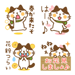 Hachiware Hachita-san emoji Spring ver