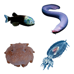 深海生物真人表演