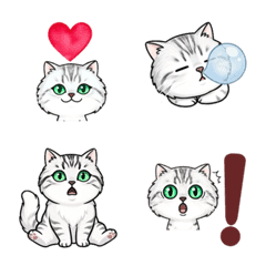Chira cat emoji