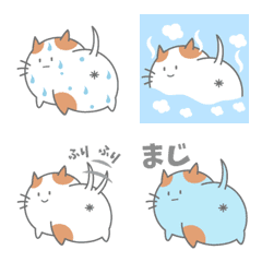 Cat showing its butt