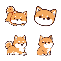 Tiny Shiba Inu 3