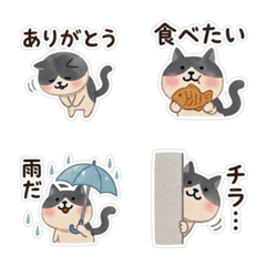 Expressive Mochi Tuxedo Cat