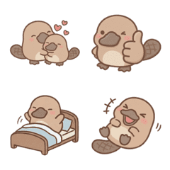 Round Platypus: Daily Fun