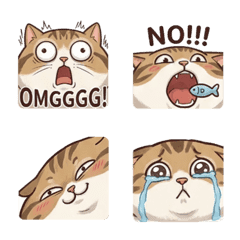 虎斑貓貼近你 B1