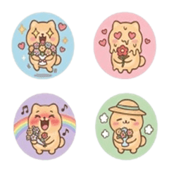 Pomeranian - Intense Emotion Set