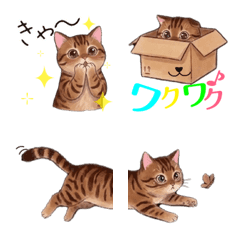 ブラウンタビーのねこちゃんと楽しむ相槌系