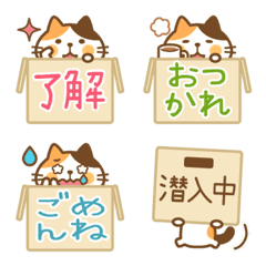 Calico cat Miketa-san & cardboard box