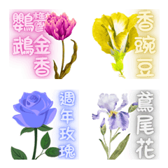花神 02
