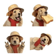 可愛胖嘟嘟的小狗表情符號 3