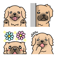 Dog Emoji Tibetan Spaniel