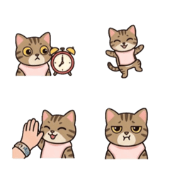 黑糖日常表情貼