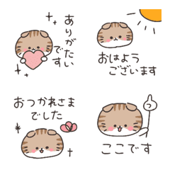 垂耳貓＊輕鬆禮貌