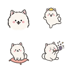 小白博美的能量包