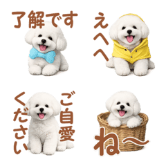 White Bichon Frise greeting letter