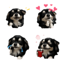 pino