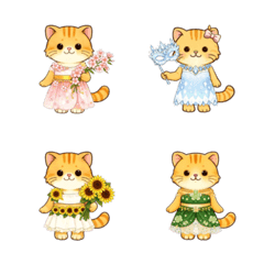 Exotic Shorthair Fashion